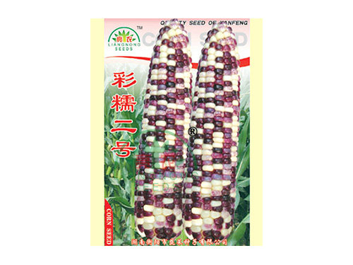 彩糯二號 彩糯二號